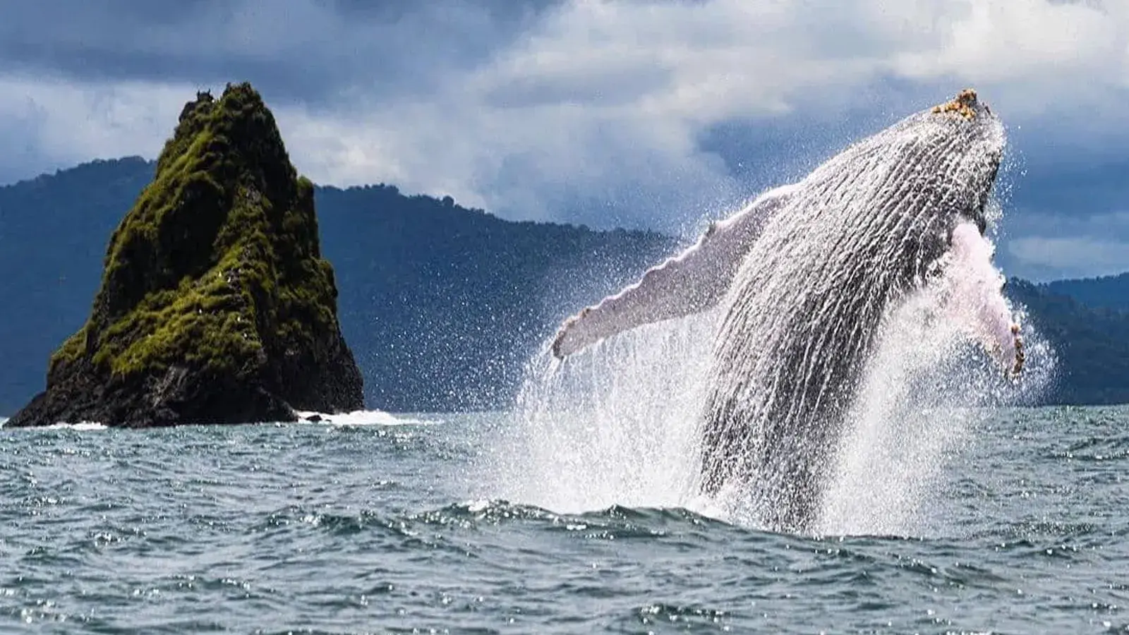 MUNDUS TRAVEL, turismo, pasadias, transporte en ibagué, colombia