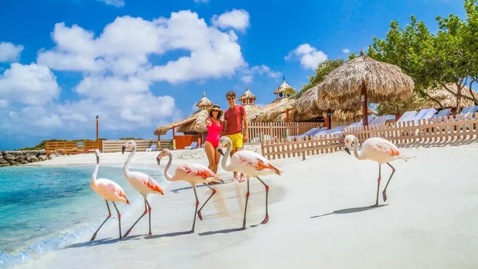 MUNDUS TRAVEL, turismo, pasadias, transporte en ibagué, colombia