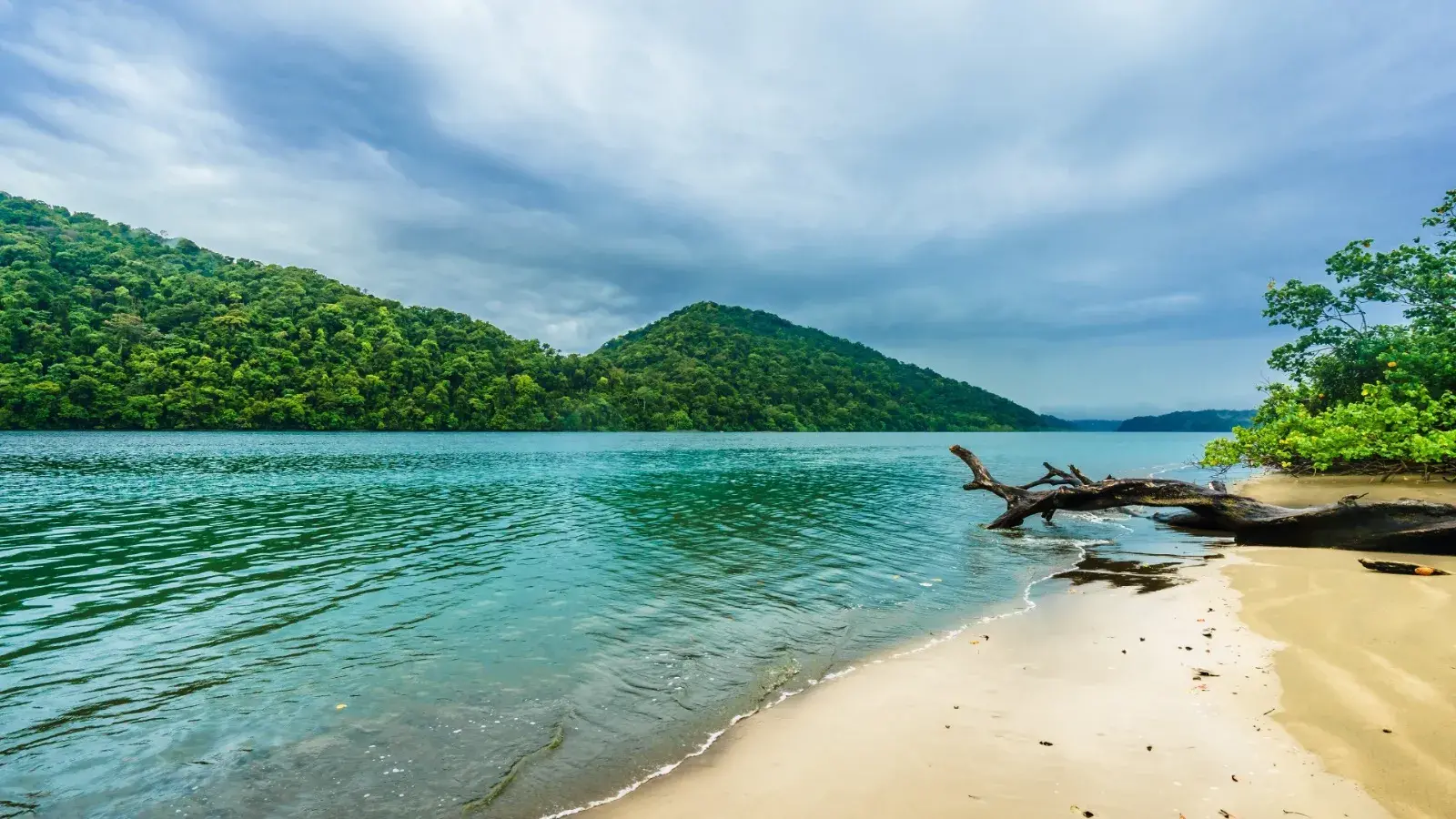 tolostuor, turismo, pasadias, transporte en ibagué, colombia