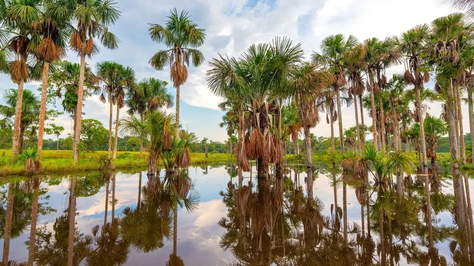 MUNDUS TRAVEL, turismo, pasadias, transporte en ibagué, colombia