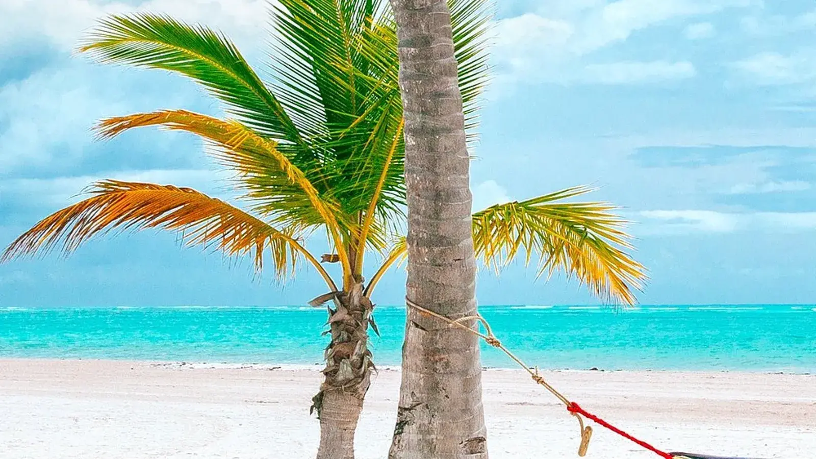 MUNDUS TRAVEL, turismo, pasadias, transporte en ibagué, colombia