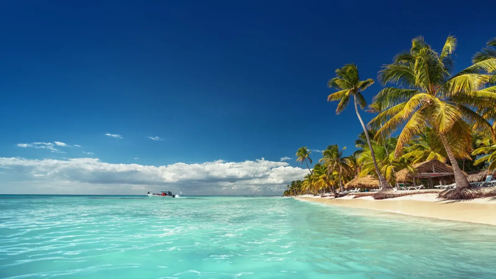 tolostuor, turismo, pasadias, transporte en ibagué, colombia