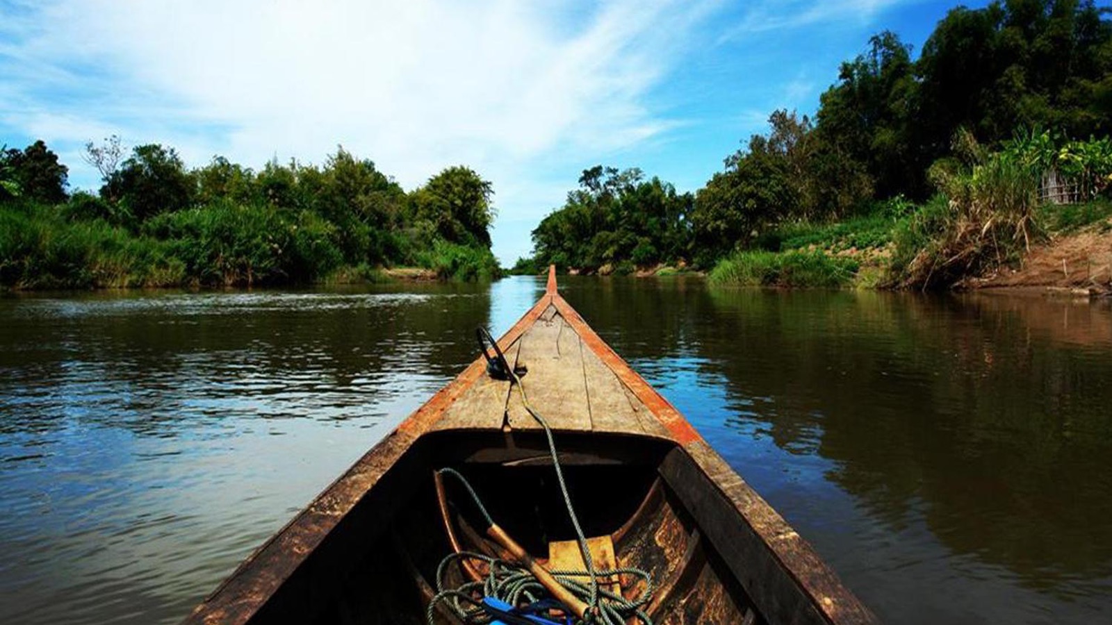 testimonio check - in